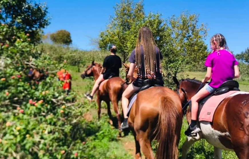 Natadola Beach Cross Country Horse Riding Fiji