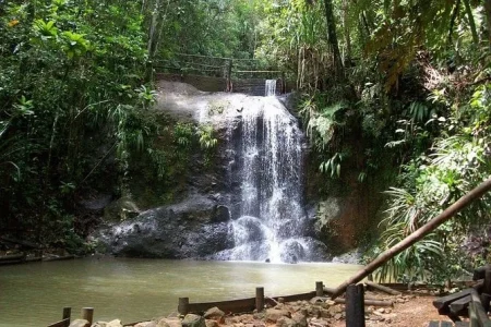 Colo-i-Suva Forest Waterfall Tour