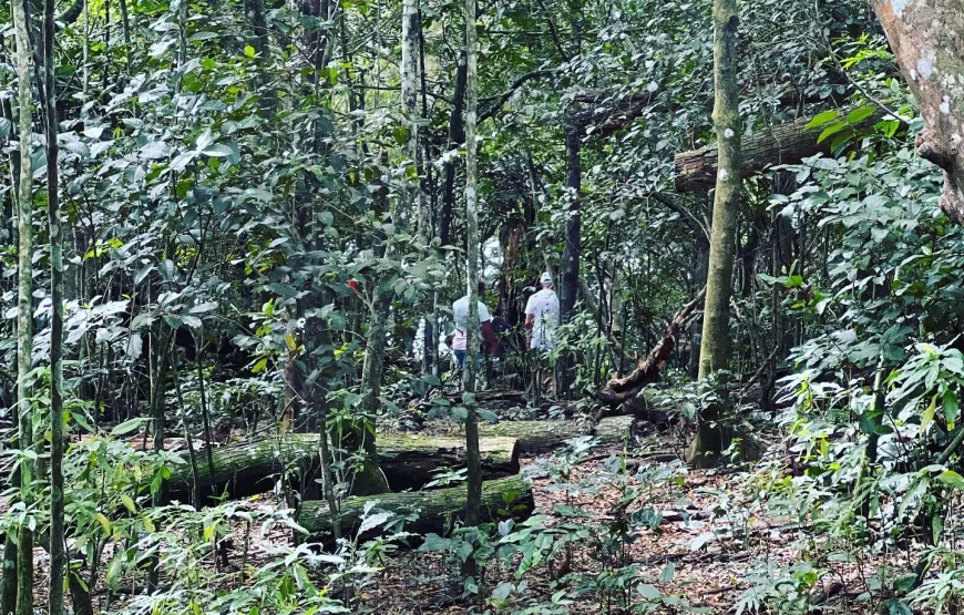 Fijian Cultural Tour