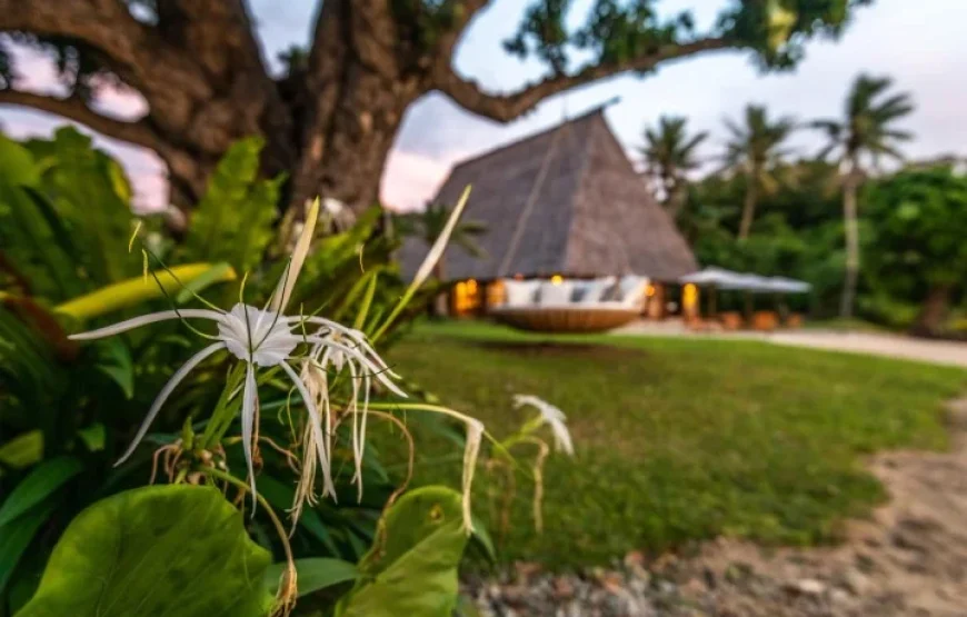 Fijian Cultural Tour