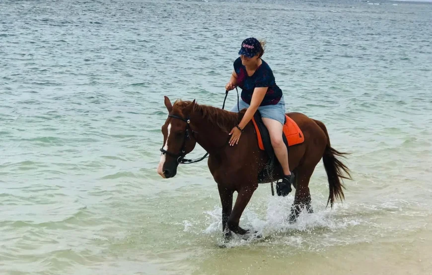 Natadola 2 hour Beach Horse Riding Tour Fiji – AU$159