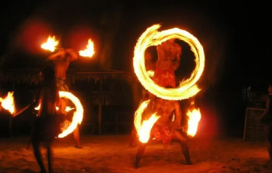 Combo Sightseeing and Island Dinner Cruise