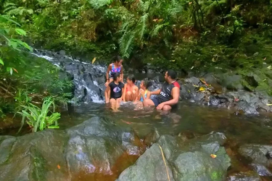Fijian Nature and Waterfall Tour