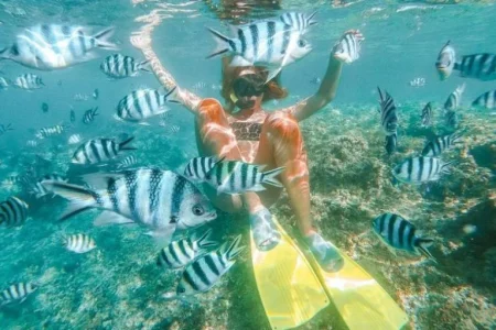 Fiji Island Hopping Tours