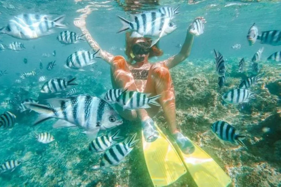 Fiji Island Hopping Tours