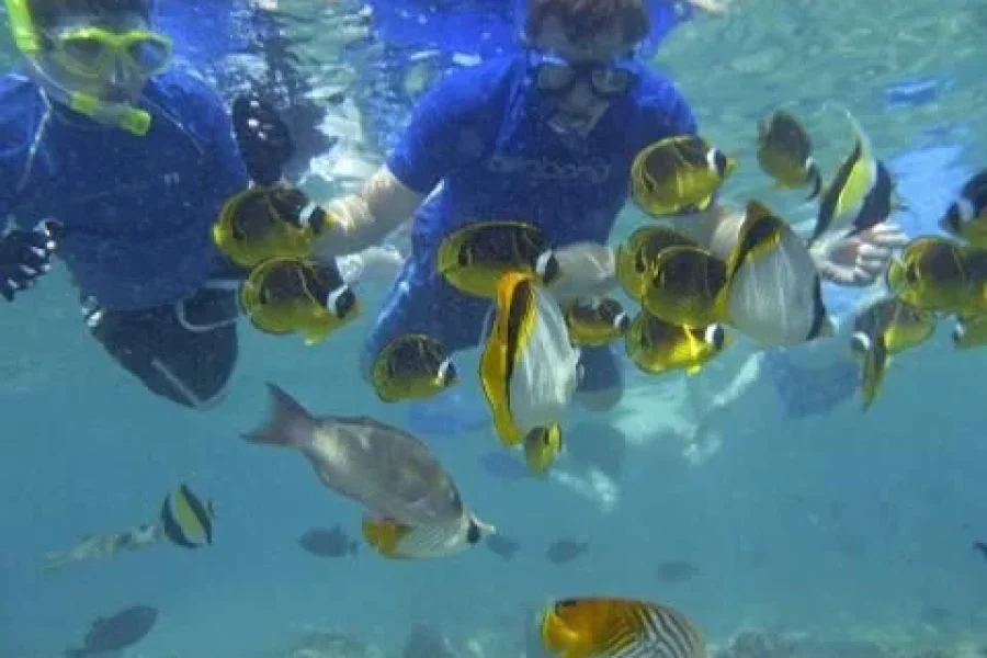 Fiji Mamanuca Islands