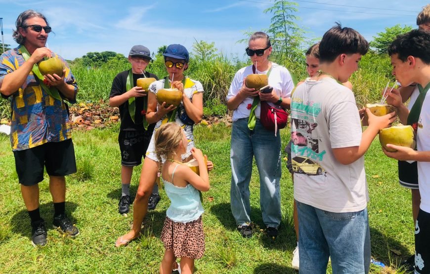 Fiji Taxi & Shuttles | Airport Transfers & Island Tours 2026