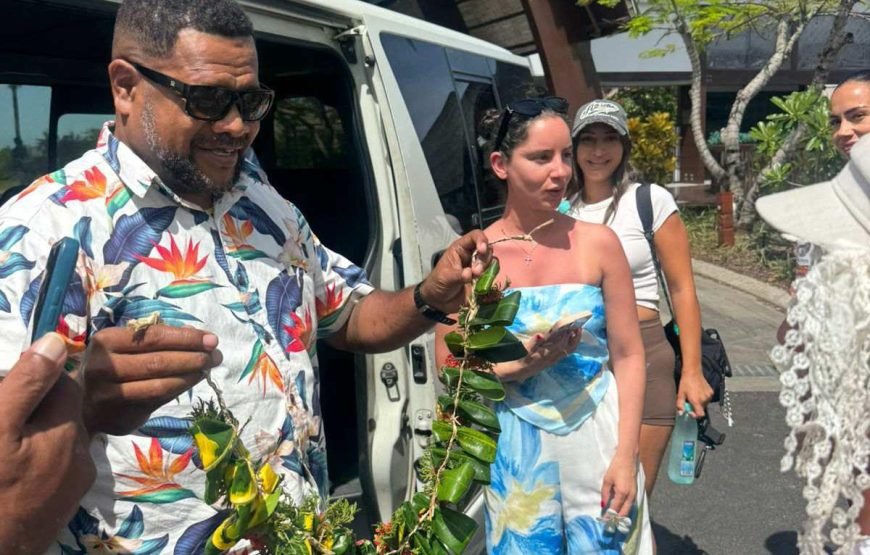 Nadi Airport Fiji Private Transfers