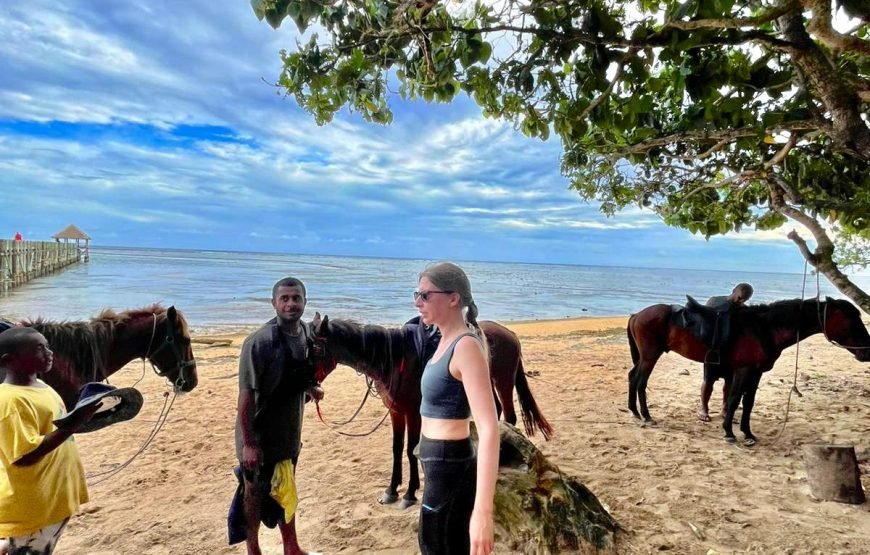 Coral Coast Fiji Mountain View Horse Riding 2026