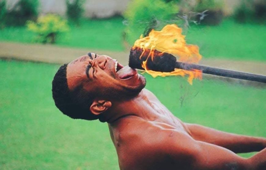 Fijian Nature and Waterfall Tour