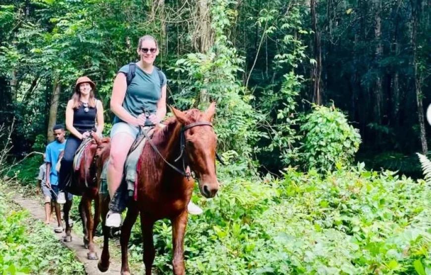 Coral Coast Fiji Waterfall and Rainforest Horse Riding 2026