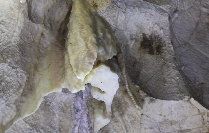 Explore Naihehe Cave Tour Sigatoka Fiji