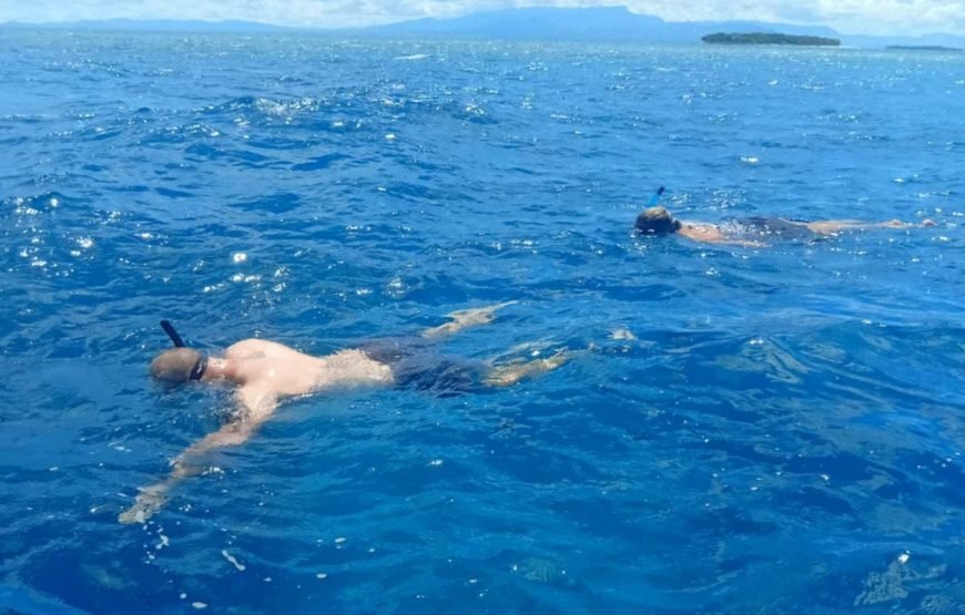 Fiji Island Hopping Day Cruise Private Tours