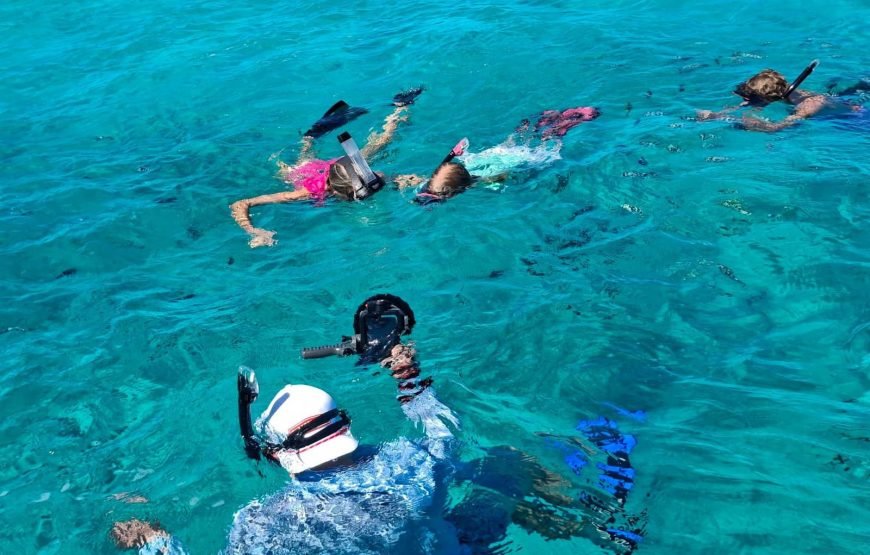 Fiji Island Hopping Day Cruise Private Tours