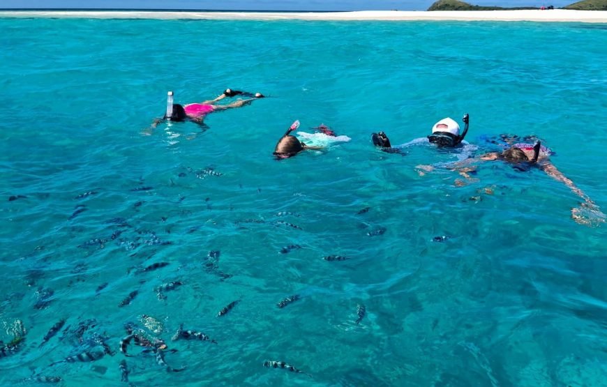 Fiji Island Hopping Day Cruise Private Tours