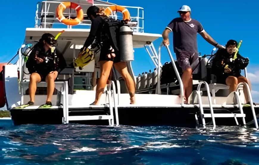 Coral Coast Full Day Tour