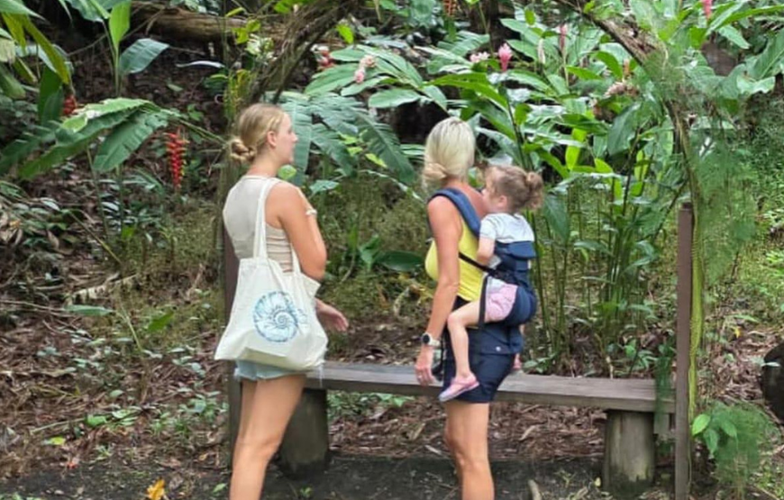 Lautoka Port Fiji – Shore Excursion Day Tour