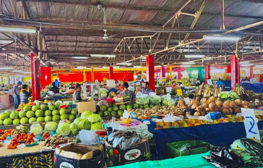 Suva Port Fiji – Shore Excursion Day Tour